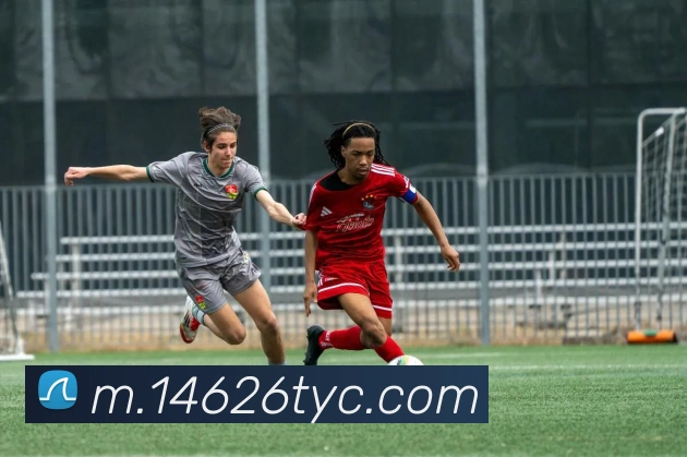 奖项2